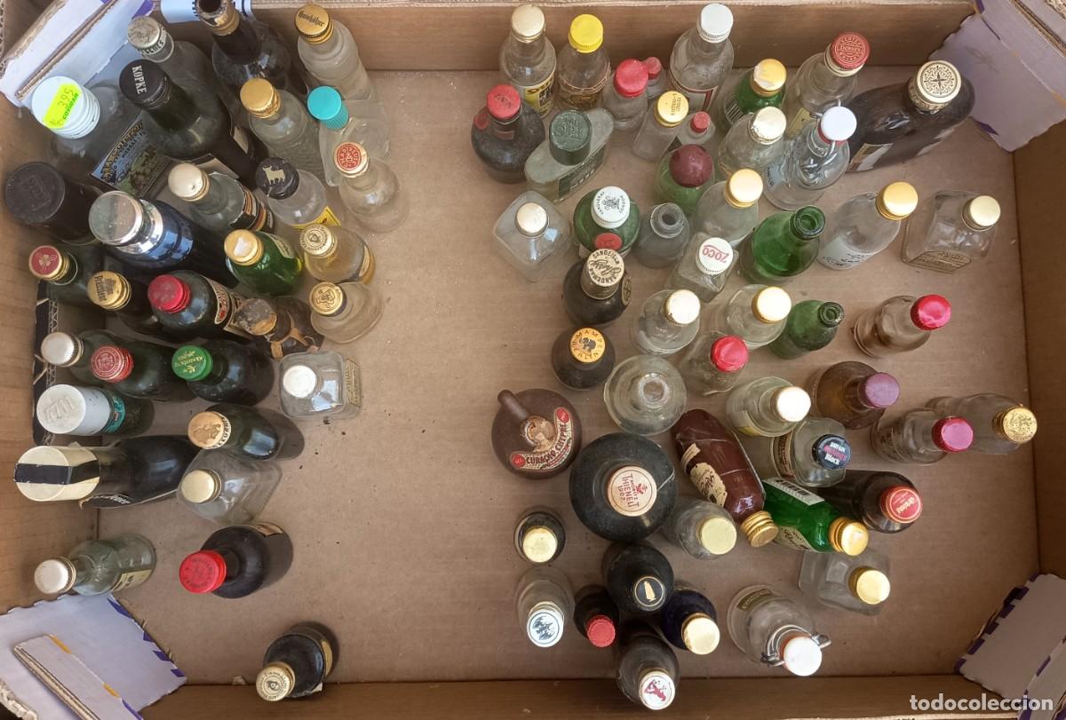 Coleccionismo de vinos y licores: GRAN LOTE DE AL MENOS 75 MINIATURAS DE BOTELLAS DE LICOR, COLECCI&Oacute;N