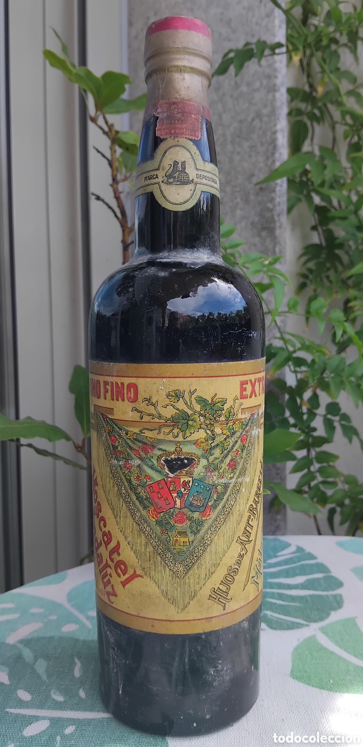 Coleccionismo de vinos y licores: Botella de vino fino moscatel de Hijos de Barcel&oacute;-M&aacute;laga
