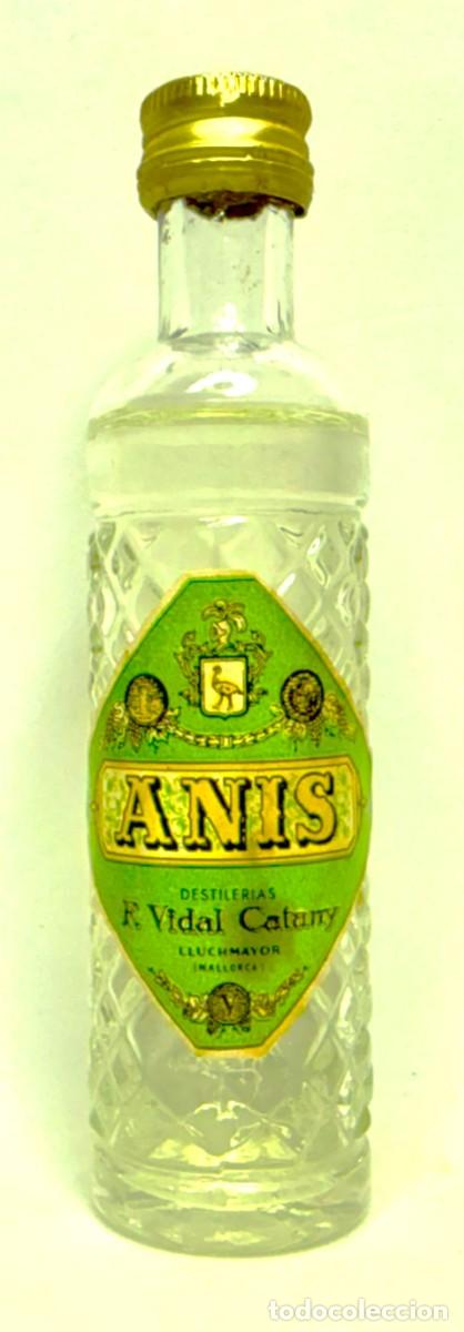 Coleccionismo de vinos y licores: BOTELLIN ANIS VIDAL CATANY