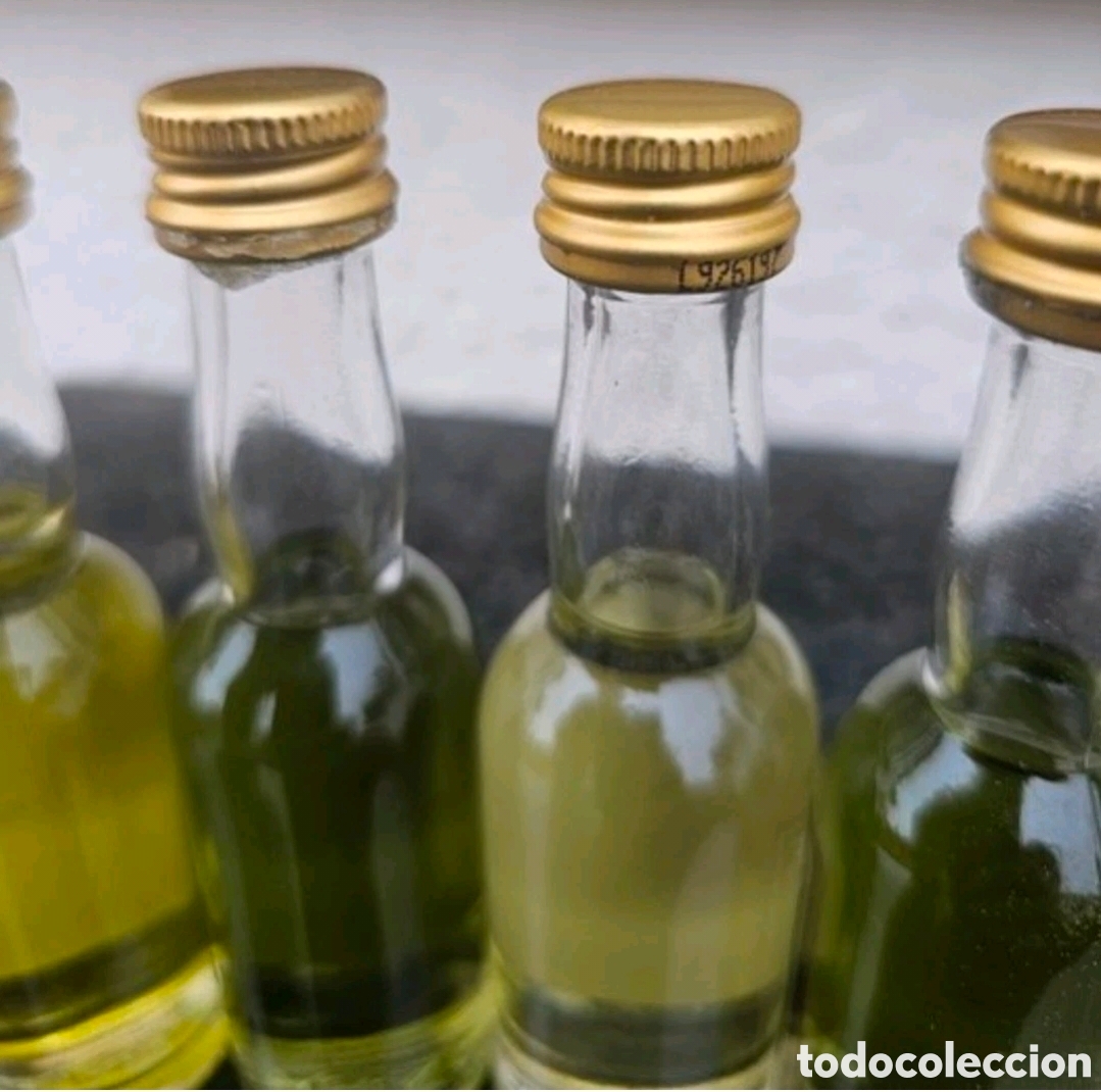 Coleccionismo de vinos y licores: Botellitas de chartreuse - Foto 3