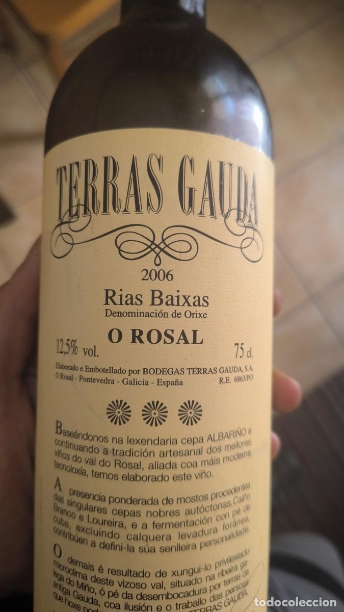Coleccionismo de vinos y licores: Albari&ntilde;o denominaci&oacute;n de origen Terras Gauda 2006
