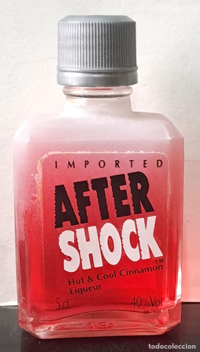 Coleccionismo de vinos y licores: BOTELLIN IMPORTED FROM USA, AFTER SHOCK. PRECINTADO. RF-6543
