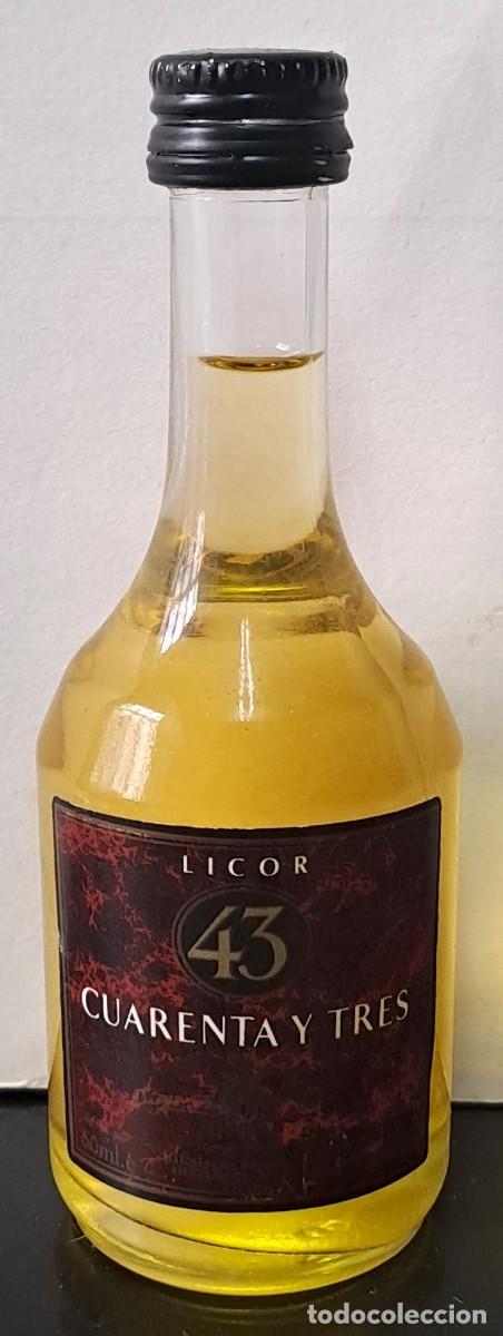 Coleccionismo de vinos y licores: BOTELLIN LICOR CUARENTA Y TRES. PECINTADO. RF-6622
