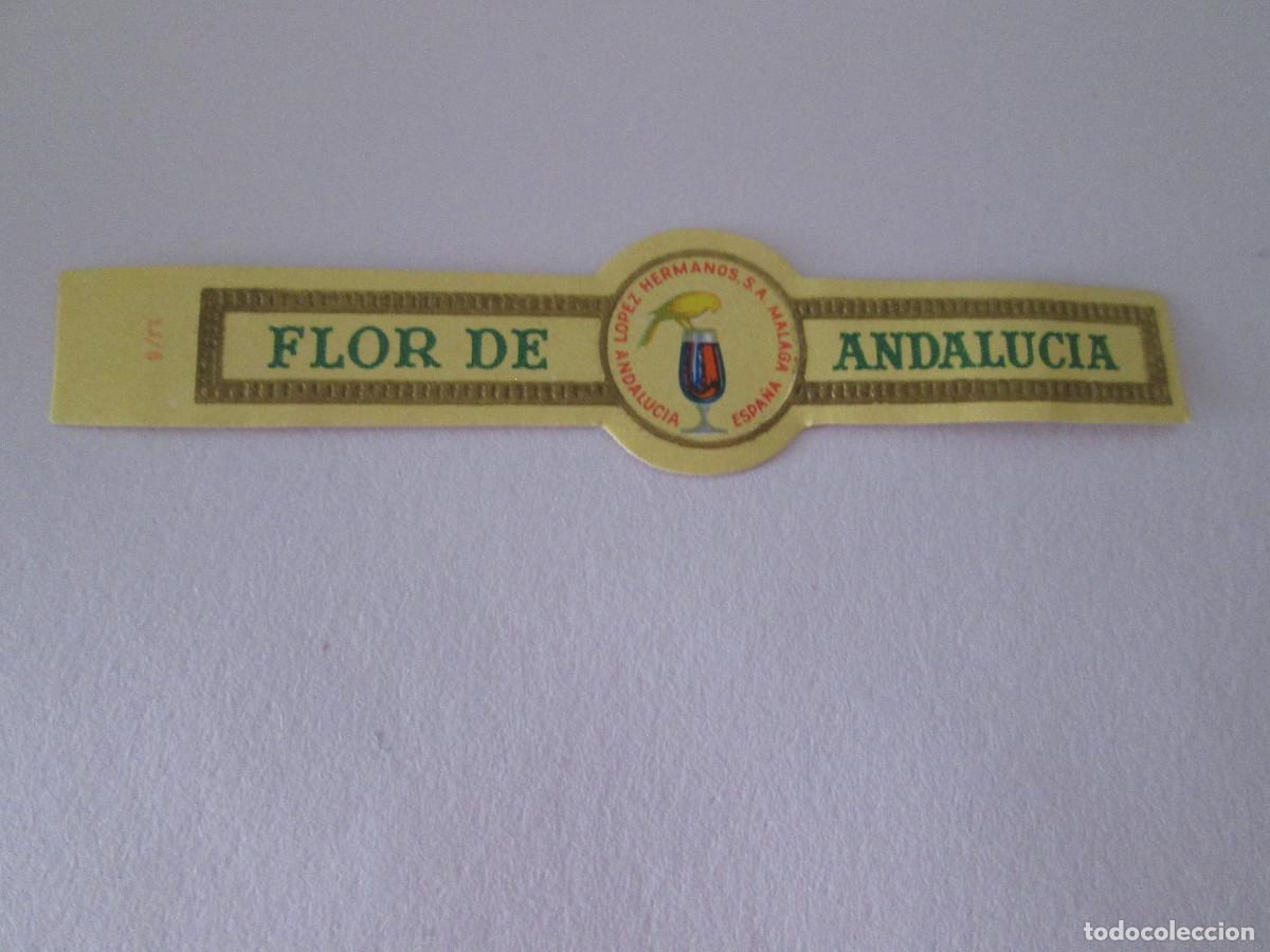 Coleccionismo de vinos y licores: ETIQUETA CUELLO MINIATURA . FLOR DE ANDALUCIA - LOPEZ HERMANOS MALAGA - 7X1,5CM