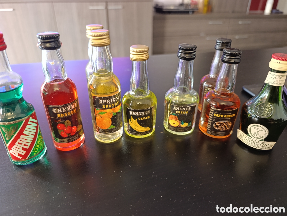 Coleccionismo de vinos y licores: Lote de 9 botellas de licor en miniatura