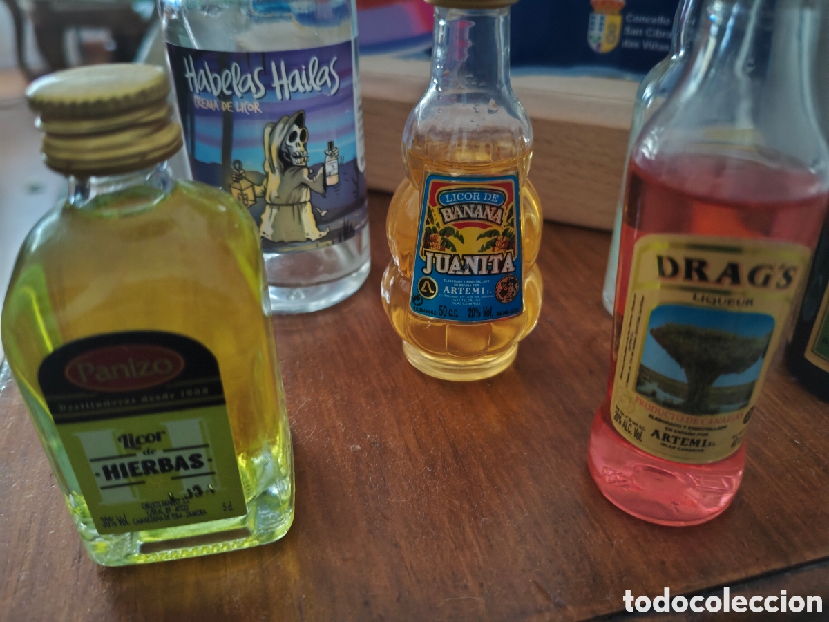 Coleccionismo de vinos y licores: Mini Botellas De Colecci&oacute;n