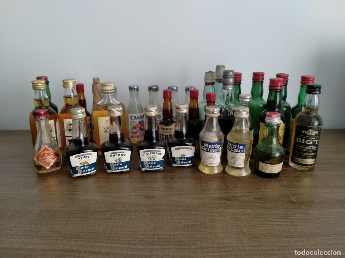 Coleccionismo de vinos y licores: 32 miniaturas M Brizard, JB, Big T, Ricard, Benedictine, Underberg, White Horse, Poire William,