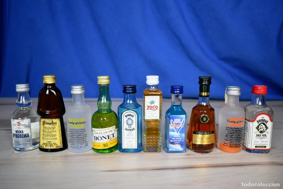 Coleccionismo de vinos y licores: Lote de 10 botellines diferentes