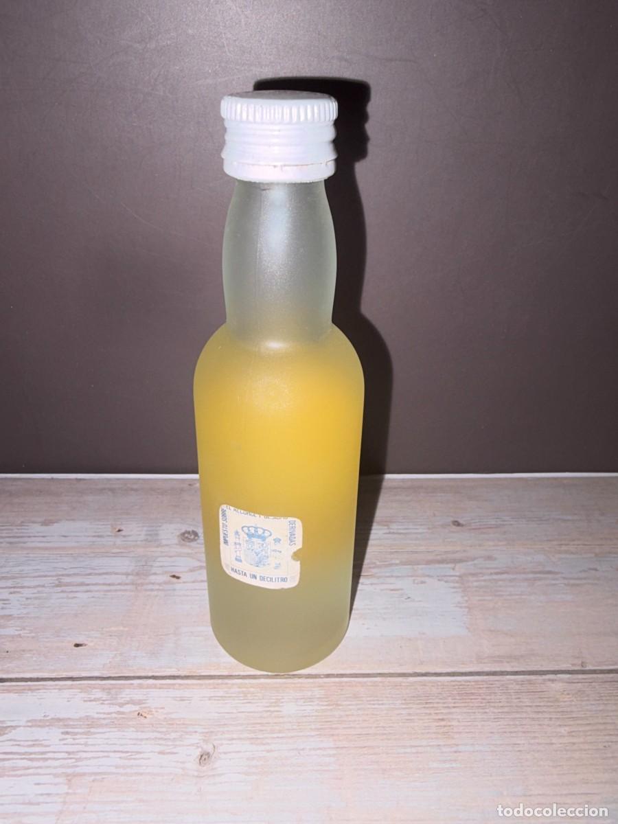 Coleccionismo de vinos y licores: BOTELL&Iacute;N. SCHNAPPS KIWI. TEICHENNE. - Foto 2