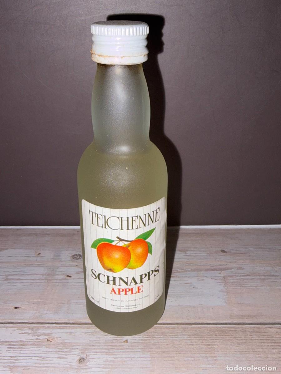 Coleccionismo de vinos y licores: BOTELL&Iacute;N. SCHNAPPS APPLE. TEICHENNE. - Foto 1