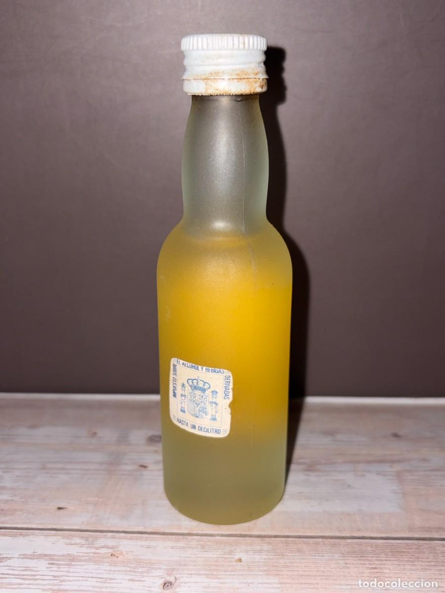 Coleccionismo de vinos y licores: BOTELL&Iacute;N. SCHNAPPS APPLE. TEICHENNE. - Foto 2