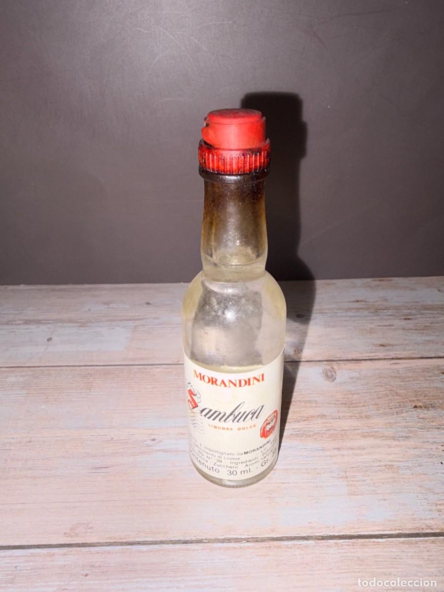 Coleccionismo de vinos y licores: BOTELL&Iacute;N. SAMBUCA LIQUORE DULCE. MORANDINI