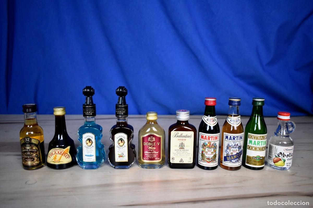Coleccionismo de vinos y licores: Lote de 10 botellines variados