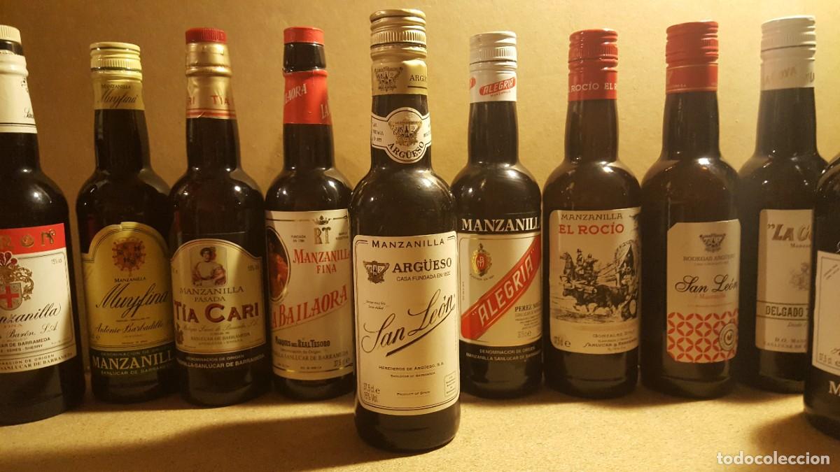 Coleccionismo de vinos y licores: Botella/botell&iacute;n manzanilla San Le&oacute;n. 37,5cl. Vac&iacute;a.