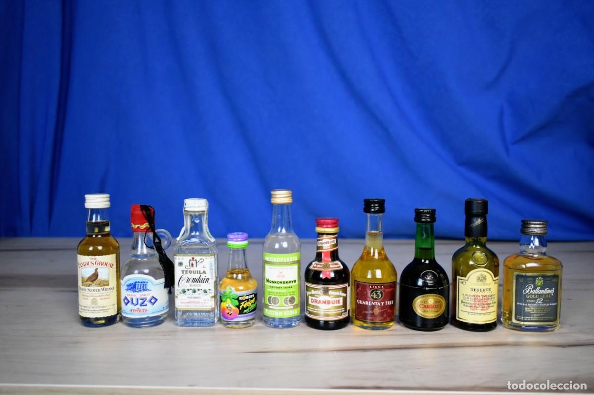 Coleccionismo de vinos y licores: Lote de 10 botellines variados