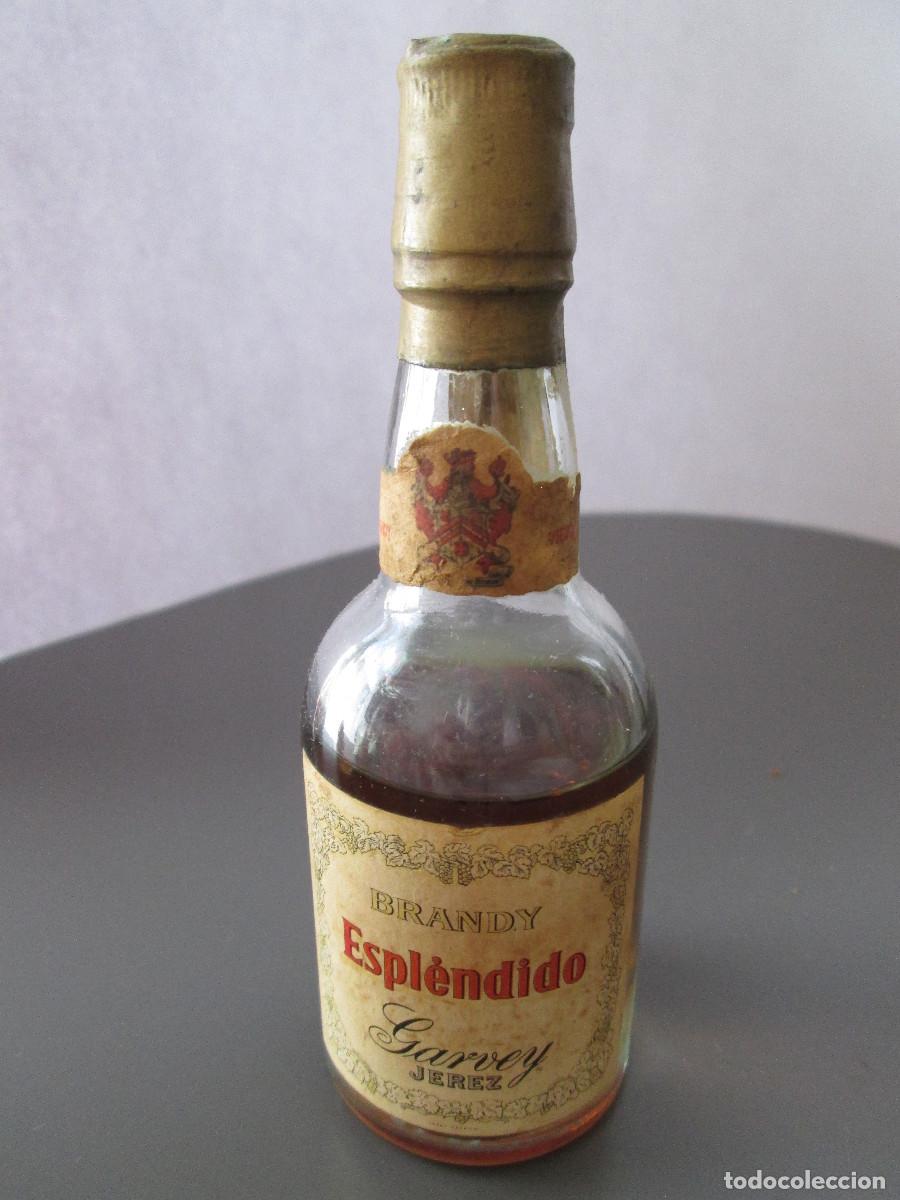 Collezionismo di vini e liquori: BOTELLIN MINIATURA LICOR - BRNADY ESPLENDIDO - GARVEY - JEREZ - MEDIADA