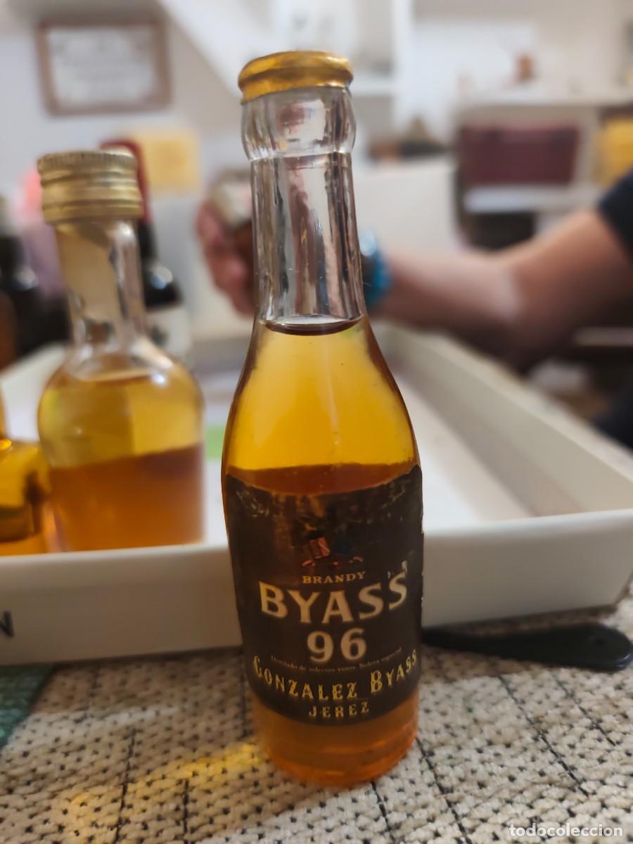 Colecionismo de vinhos e licores: Brandy Byss 96 jarez