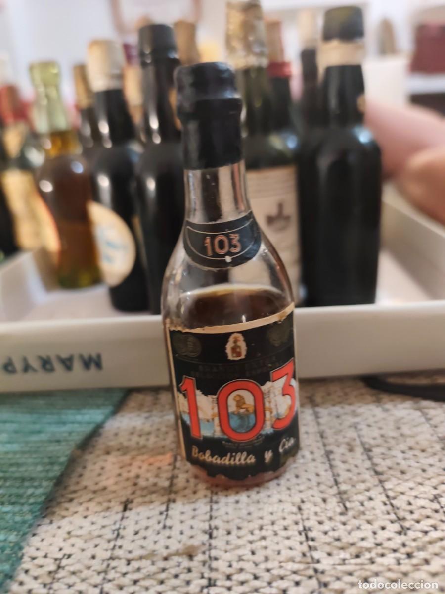 Sammlung von Weinen und Lik&ouml;ren: Boadilla y cia 103 jerez