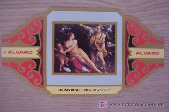 Vitolas de colecci&oacute;n: VITOLA PUROS ALVARO. SERIE II PINTURA, ADONIS DESCUBRIENDO A VENUS