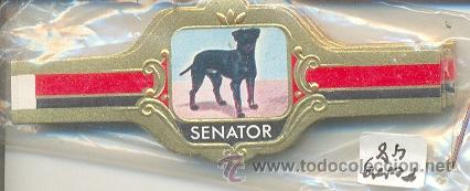 Vitolas de colecci&oacute;n: 14-727. Vitolas Senator. Perros Serie 3&ordf;