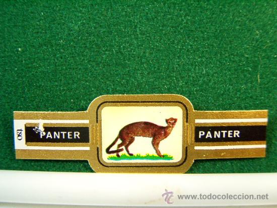 Vitolas de colecci&oacute;n: 1/24 - PANTER - FELINOS - JAGUAR - ANTIGUA VITOLA - SIGUE ...