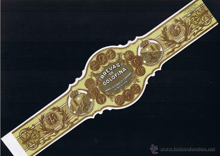 Collection cigar bands: GOLOFINA (JAMAICA) .- BREVAS DE GOLOFINA .-  VITOLA GIGANTE MEDIDAS 320 X 85 MM