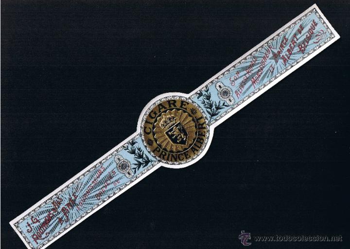 Collection cigar bands: PRINCE ALBERT .- VITOLA GIGANTE .- MEDIDAS 312 X 63 mm .- TEMA: ESCUDOS