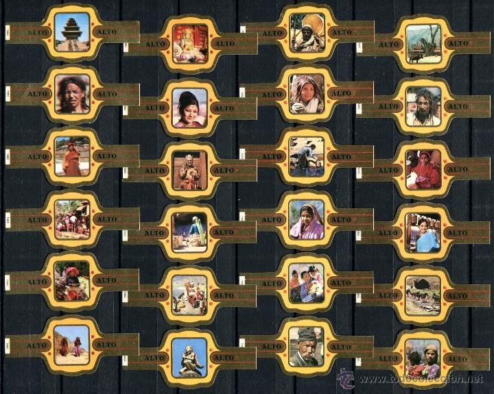 Sammlung von Banderolen: VITOLAS ALTO - NEPAL (24 VITOLAS)