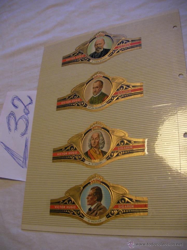 Sammlung von Banderolen: GRAN LOTE DE ANTIGUAS VITOLAS - ENVIO GRATIS A ESPA&Ntilde;A