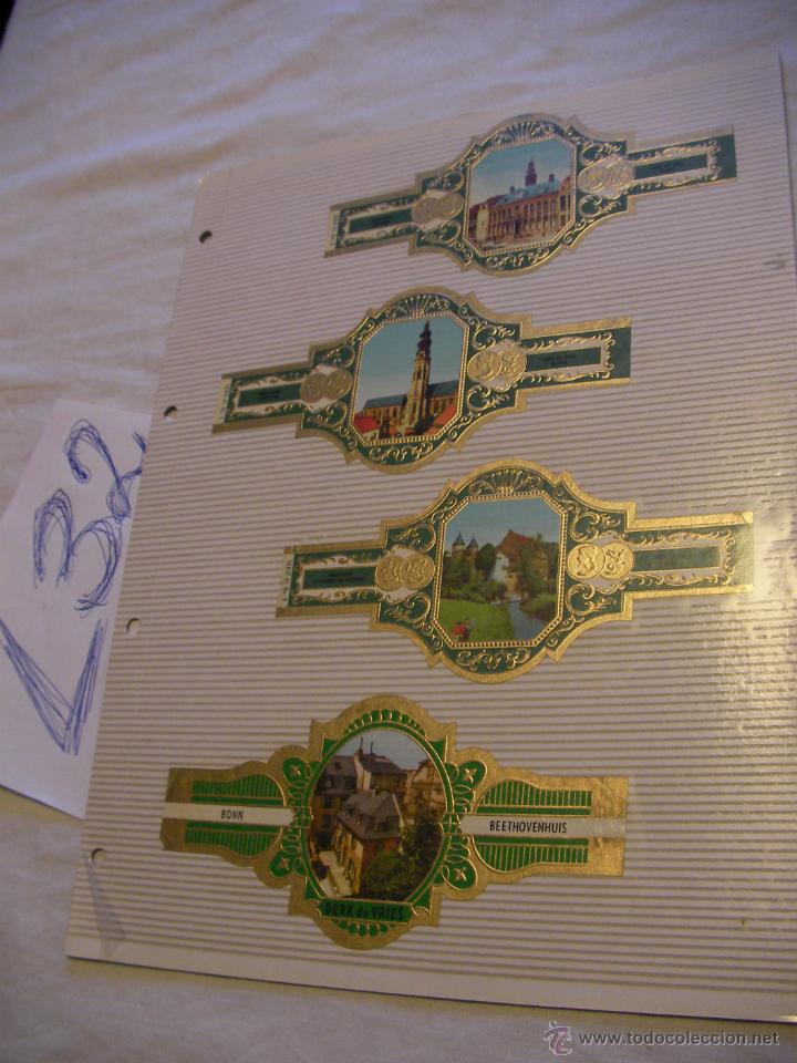Sammlung von Banderolen: GRAN LOTE DE ANTIGUAS VITOLAS - ENVIO GRATIS A ESPA&Ntilde;A
