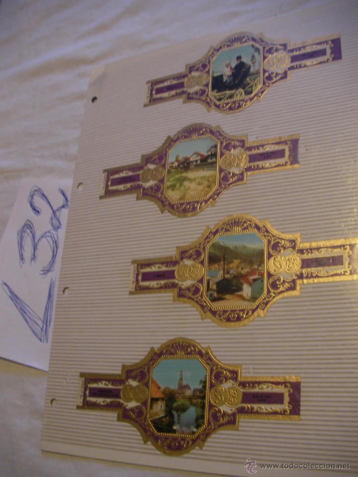 Sammlung von Banderolen: GRAN LOTE DE ANTIGUAS VITOLAS - ENVIO GRATIS A ESPA&Ntilde;A