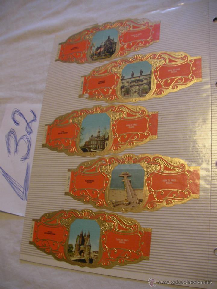 Sammlung von Banderolen: GRAN LOTE DE ANTIGUAS VITOLAS - ENVIO GRATIS A ESPA&Ntilde;A