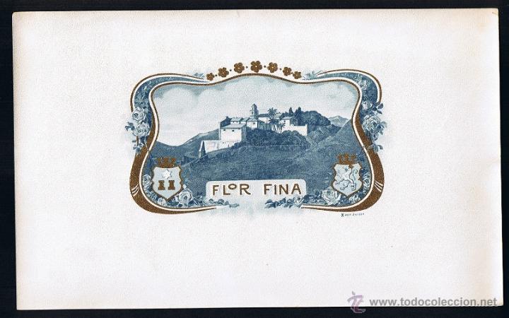 Collection cigar bands: HABILITACION -VISTA. TITULO: FLOR FINA. TEMA: EDIFICACIONES, PAISAJES, &Aacute;RBOLES