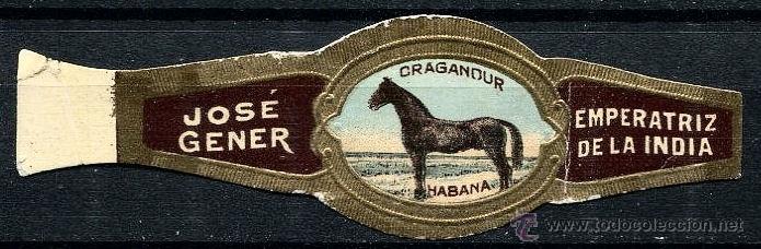 Vitolas de colecci&oacute;n: VITOLA JOSE GENER - CABALLO - Foto 1