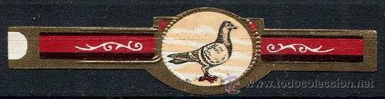 An&eacute;is de charuto de cole&ccedil;&atilde;o: VITOLA PALOMA - TIPO SELS (SIN INSCRIPCION)