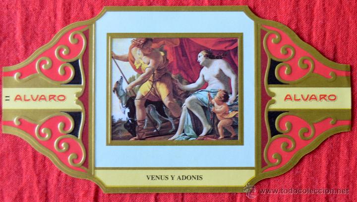 Vitolas de colecci&oacute;n: EL DESNUDO EN EL ARTE - ALVARO - SERIE II - PINTURA - 11 - VENUS Y ADONIS
