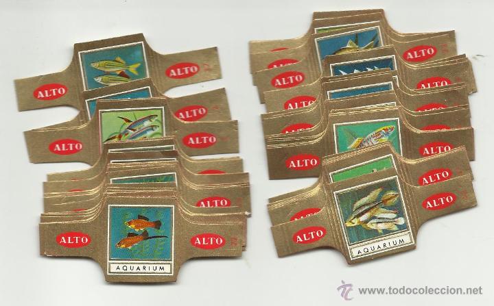 Vitolas de colecci&oacute;n: ALTO BELGICA ACUARIO FAUNA 1/48 VITOLAS SERIE COMPLETA