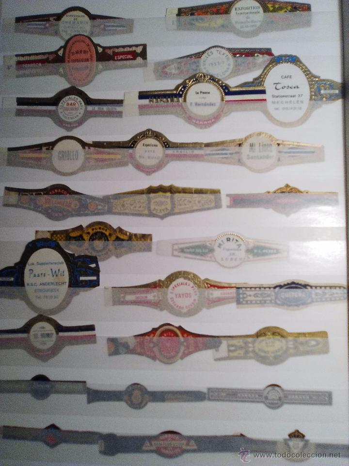 Vitolas de colecci&oacute;n: 2000 Vitolas - Foto 1