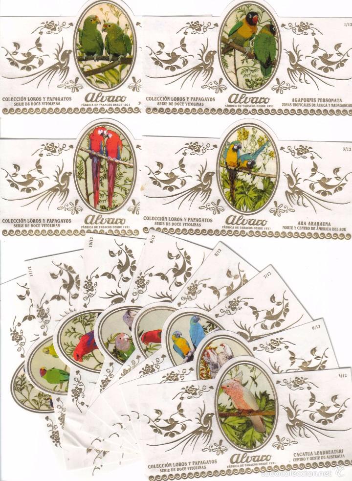 Vitolas de colecci&oacute;n: Vitolas. Serie completa Alvaro - Loros y Papagayos, 12 vitolinas.