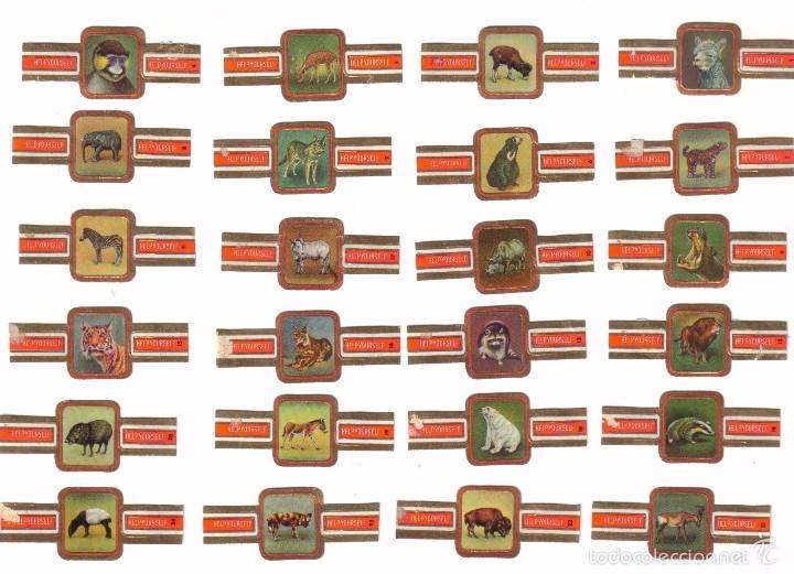 Vitolas de colecci&oacute;n: Vitolas, Serie Help Yourself - Mam&iacute;feros, 24 vitolas.