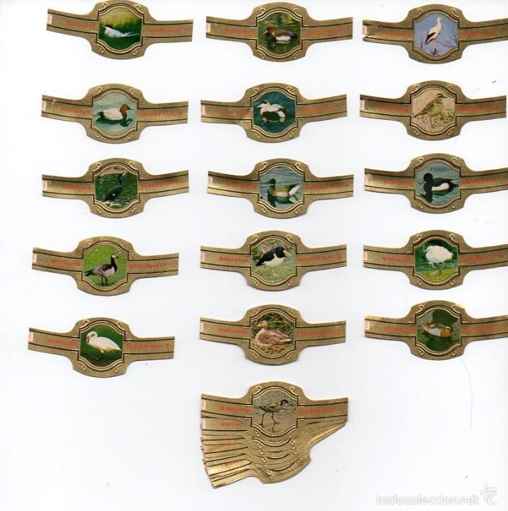 Vitolas de colecci&oacute;n: Vitolas Serie completa Mercator - Aves de la Reserva de Zwin, 24 vitolas
