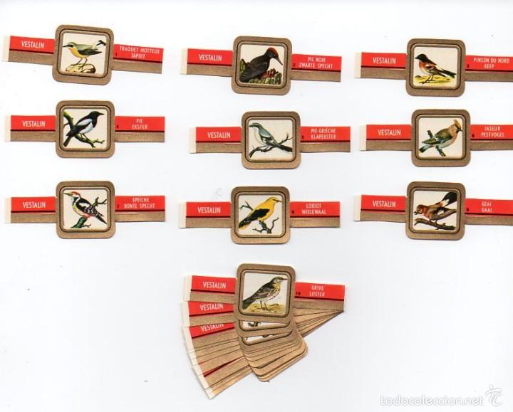Vitolas de colecci&oacute;n: Vitolas. Serie completa Vestalin - Pajaros (Blanco), 24 vitolas