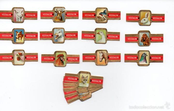 Vitolas de colecci&oacute;n: Vitolas. Serie completa Vestalin - Fauna, 24 vitolas