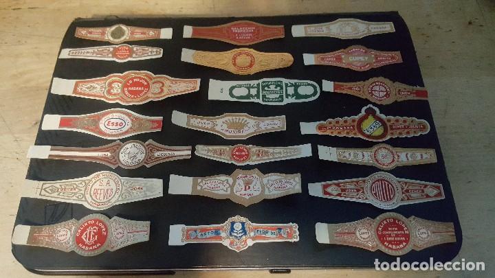Vitolas de colecci&oacute;n: 48 vitolas de puros habanos, con sobre original