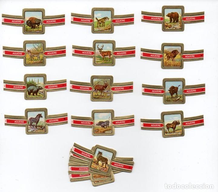 Vitolas de colecci&oacute;n: Vitolas. Serie Completa Aguere - Animales Salvajes, 24 vitolas