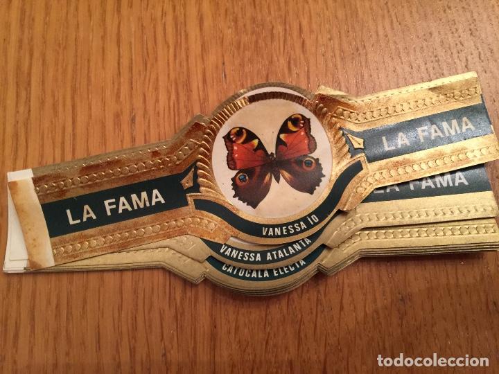 Vitolas de colecci&oacute;n: La Fama. Mariposas