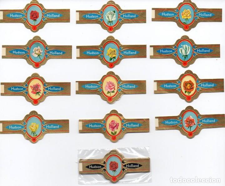 Vitolas de colecci&oacute;n: Vitolas. Serie completa Hudson - Rosas, negro, 12 vitolas