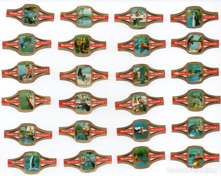 Vitolas de colecci&oacute;n: Vitolas. Serie completa Paladijn - Delfines (Flipper). 24 vitolas