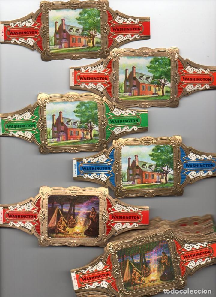 Vitolas de colecci&oacute;n: Vitolas Serie Washington, Vida de Whashington, 80 vitolinas