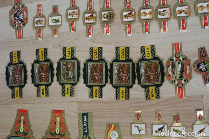 Vitolas de colecci&oacute;n: LOTE 180 VITOLAS - Foto 4